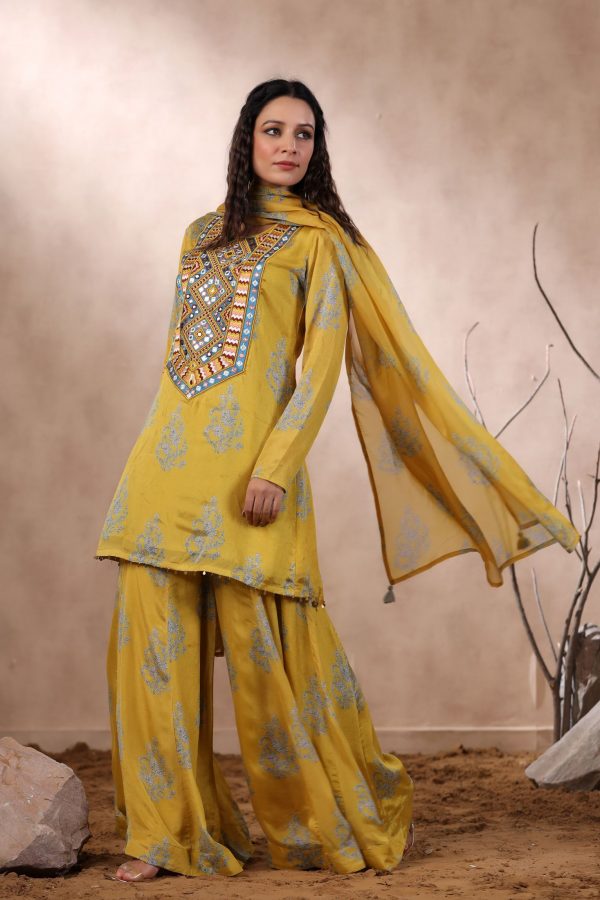 Ishin Yellow Sharara Set - Image 5