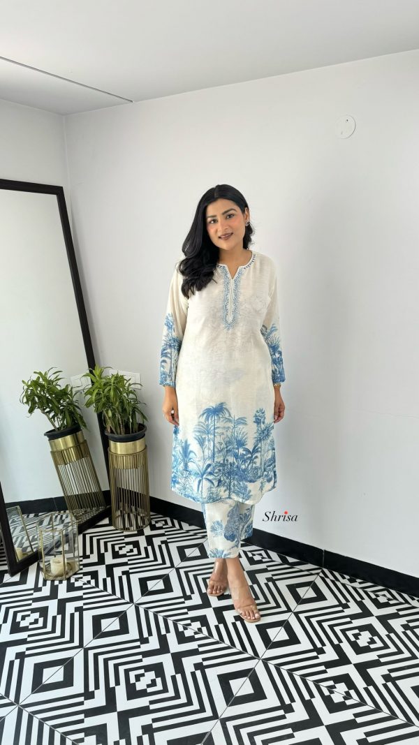 Zaira Linen kurta Pants - Image 5